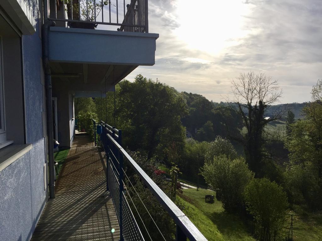 Les Gites De La Maison Bleue D'Estialescq Exterior foto